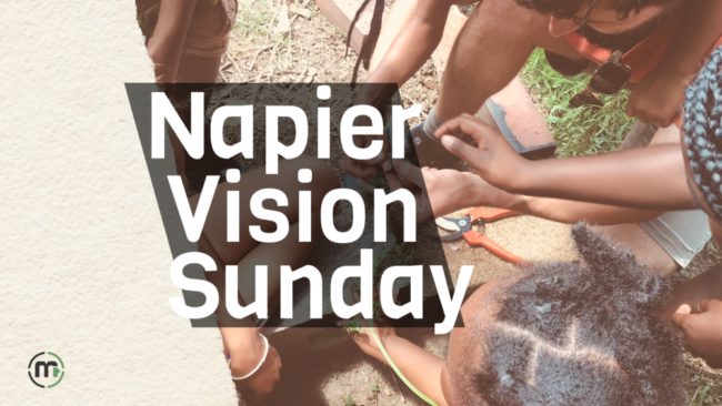 Napier Vision Sunday