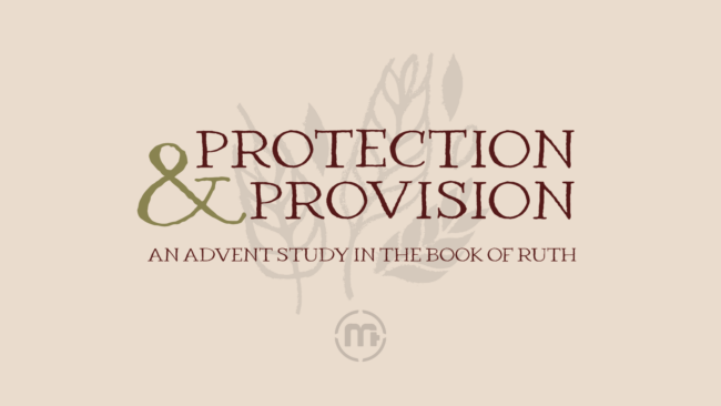 Protection and Provision: An Advent Study in the Book of Ruth